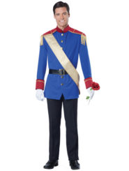Mens Storybook Prince Costume