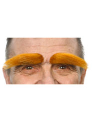 Eyebrows Auburn Accessory