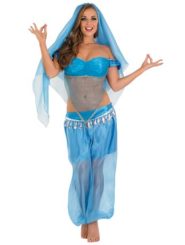 Womens Arabian Princess Costume
