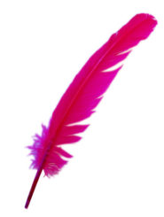 Magenta Turkey Feather