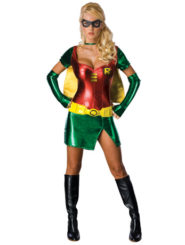 Ladies Superhero Robin Costume