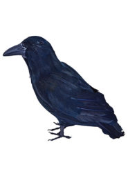 Black Crow Prop Accessory