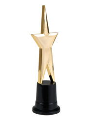 Star Award Decoration