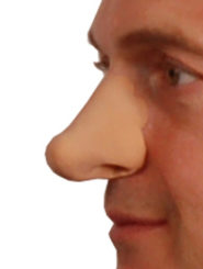 Regular Nose Accessory